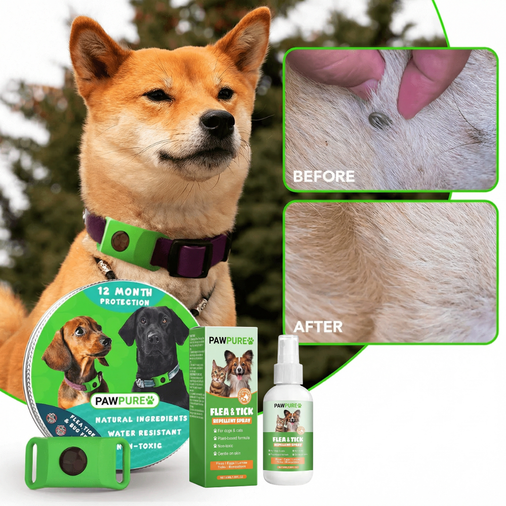 PawPure Flea & Tick Prevention Tag