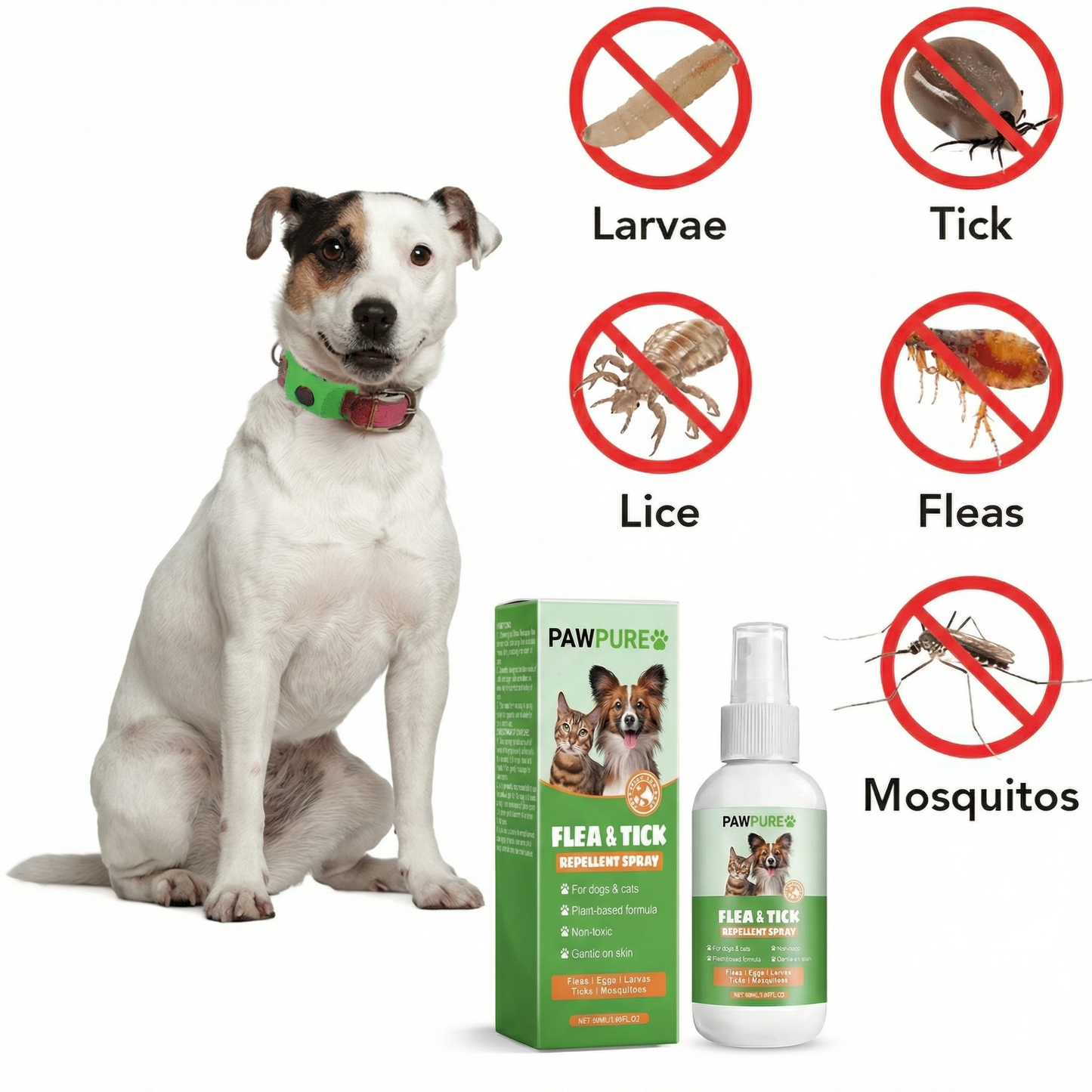 PawPure Flea & Tick Prevention Tag