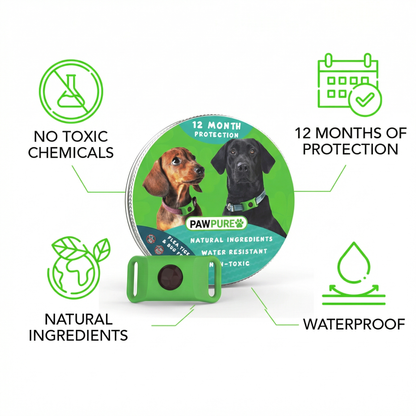 PawPure Flea & Tick Prevention Tag