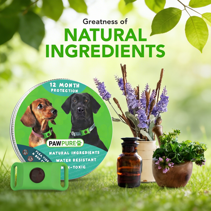 PawPure Flea & Tick Prevention Tag